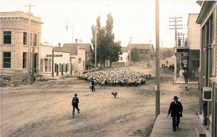 The Buck Building in 1906 - Friday Harbor WA