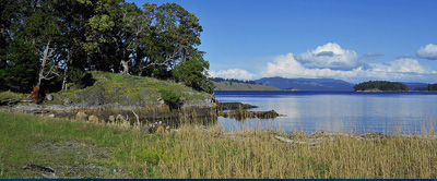 Henry Island