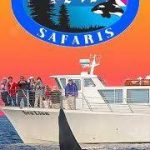 San Juan Safaris Whale & Wildlife Tours