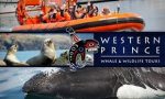Western Prince Whale & Wildlife Tours