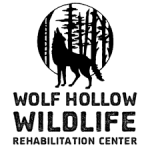 Wolf Hollow Wildlife Rehab Ctr.