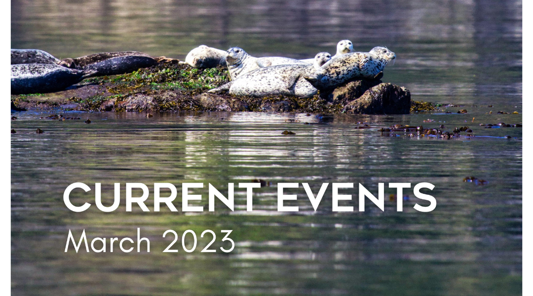 Current Events | March 2023